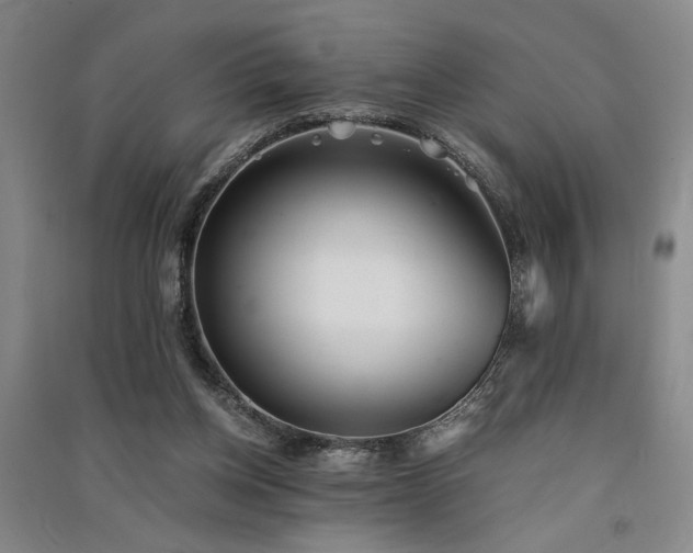 X0000091520158200708171223
