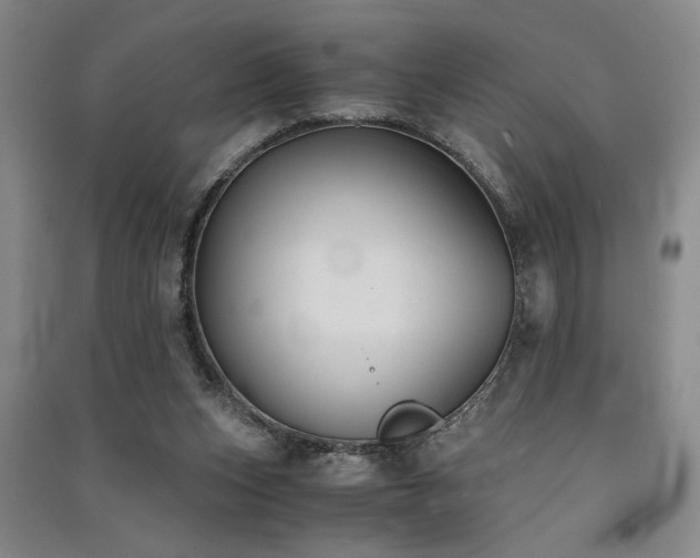 X0000091520159200708171223