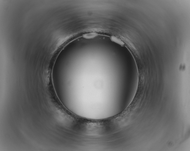 X0000091520160200708171223
