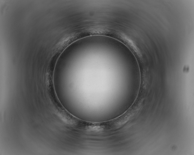 X0000091520161200708171223