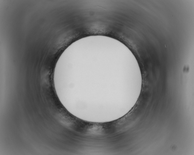 X0000091520162200708171223
