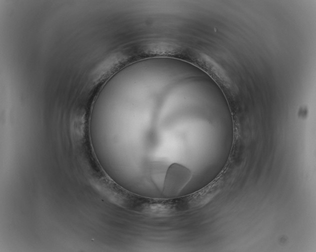 X0000091520163200708171223