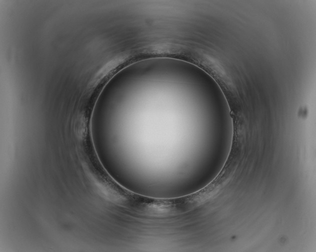 X0000091520164200708171223