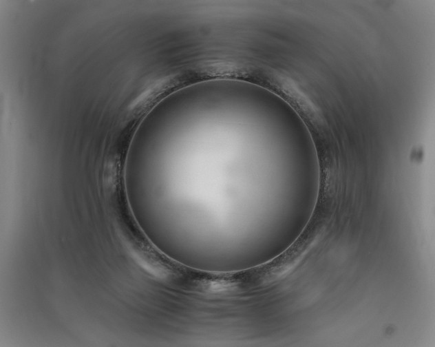 X0000091520165200708171223