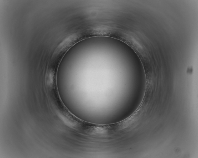 X0000091520166200708171223