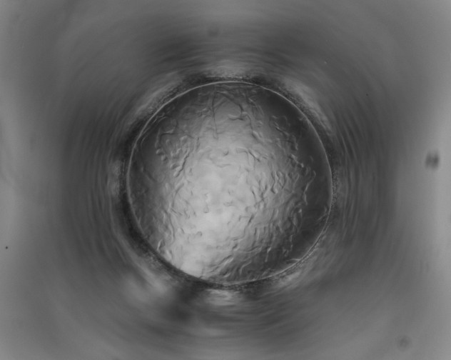 X0000091520167200708171223