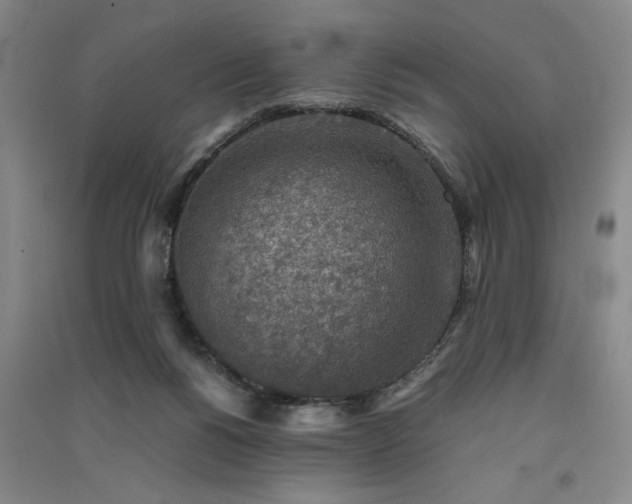 X0000091520168200708171223