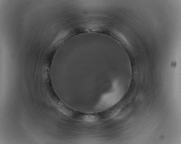 X0000091520169200708171223