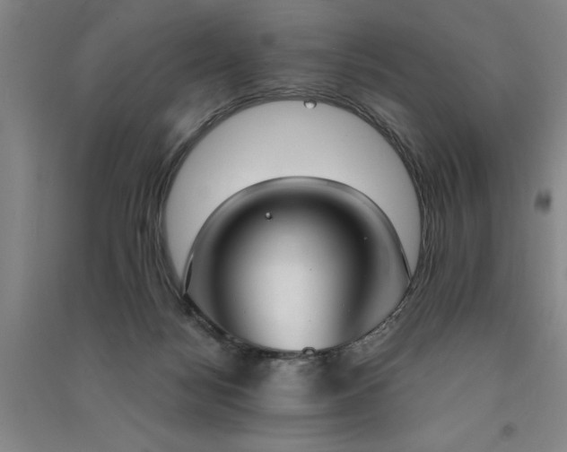 X0000091520172200708171224