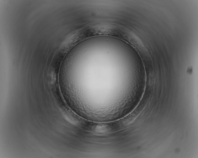 X0000091520173200708171224