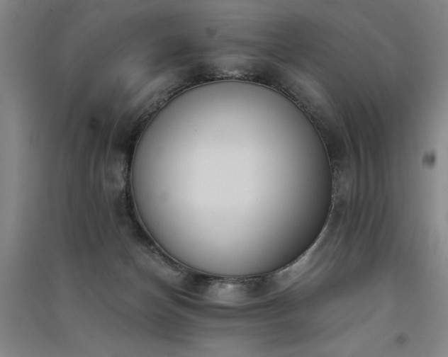 X0000091520174200708171224