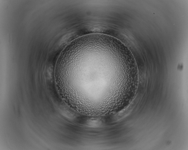 X0000091520175200708171224