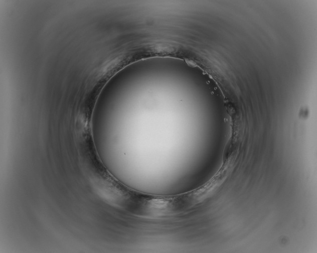 X0000091520176200708171224