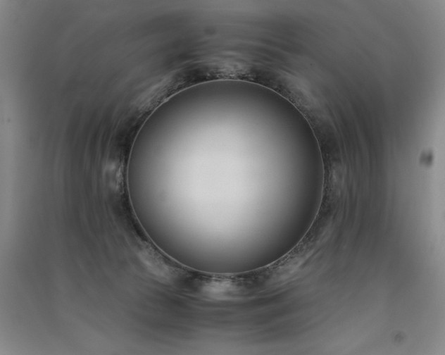 X0000091520177200708171224