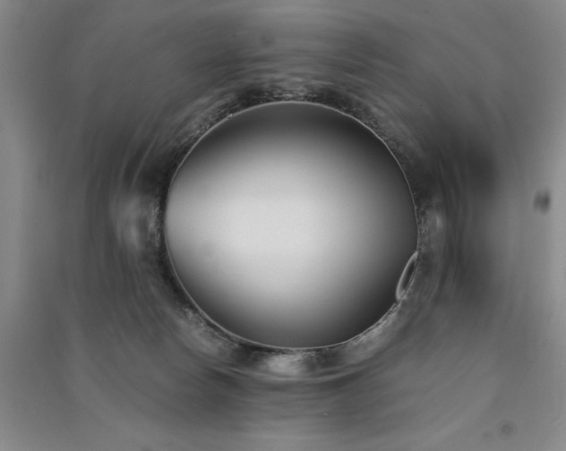 X0000091520178200708171224