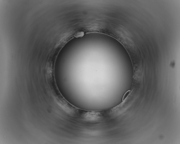 X0000091520179200708171224