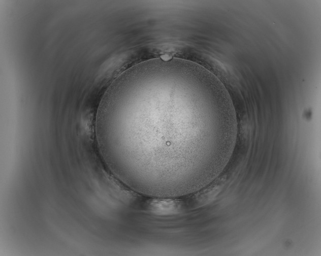 X0000091520181200708171224