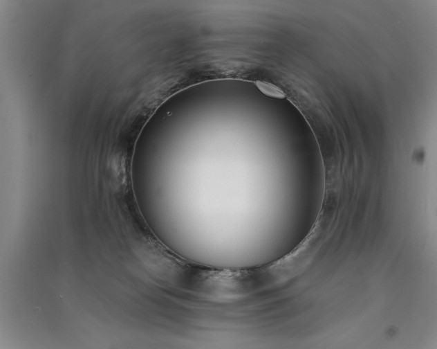 X0000091520182200708171224