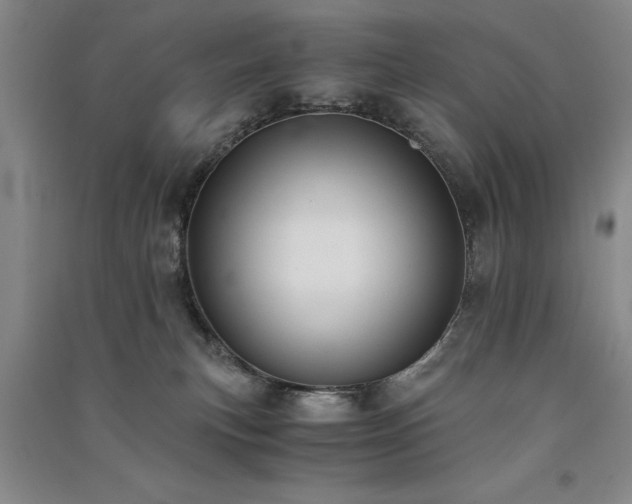 X0000091520183200708171224