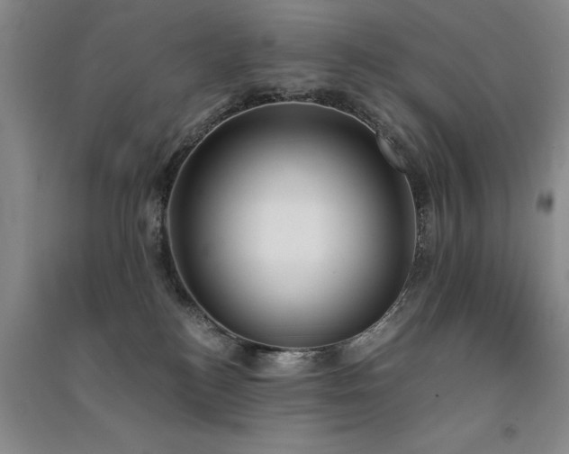 X0000091520184200708171224
