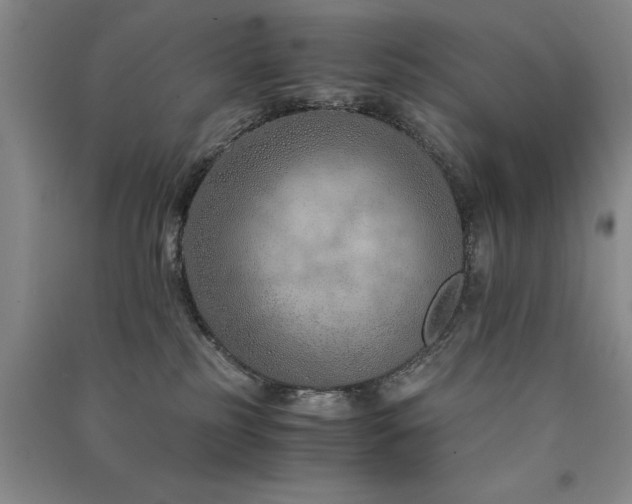 X0000091520185200708171224