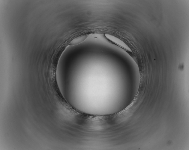 X0000091520186200708171224