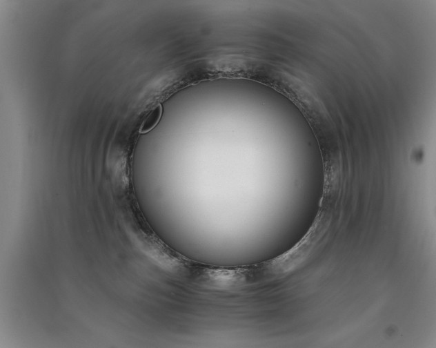 X0000091520187200708171224