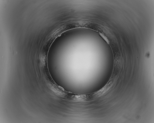 X0000091520188200708171224