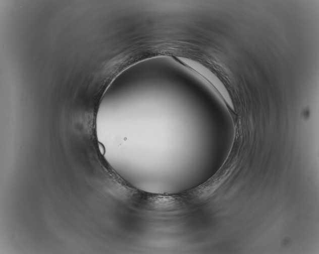 X0000091520189200708171224