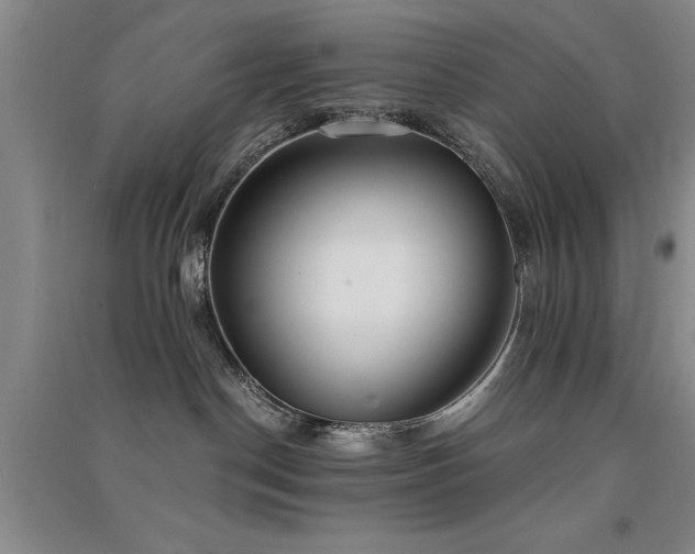 X0000091520190200708171224
