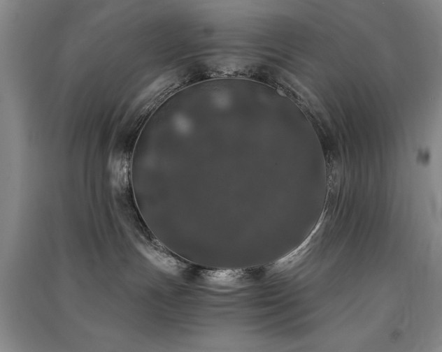 X0000091520191200708171224