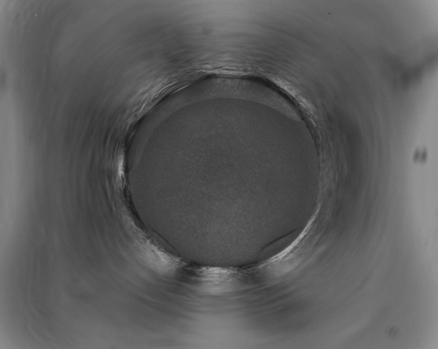 X0000091520192200708171224