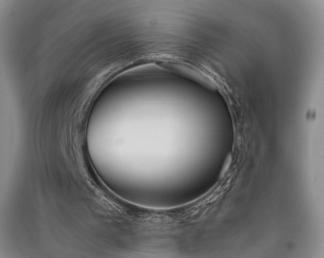 X0000091520193200708171223