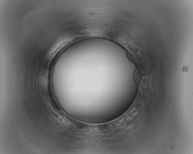X0000091520194200708171223