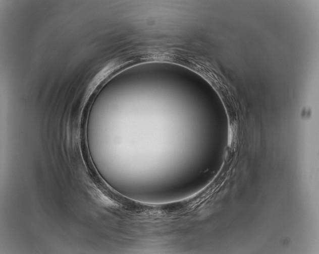 X0000091520195200708171223