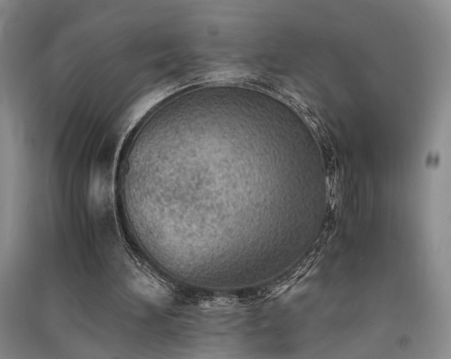 X0000091520196200708171223