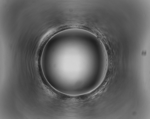 X0000091520197200708171223