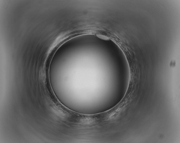 X0000091520198200708171223
