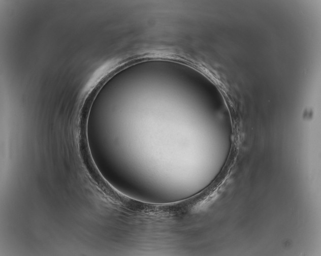 X0000091520199200708171223