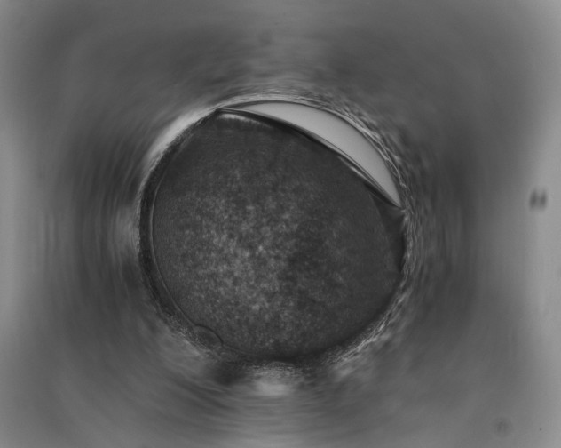 X0000091520200200708171223