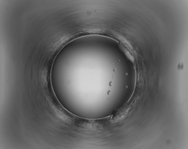 X0000091520201200708171223