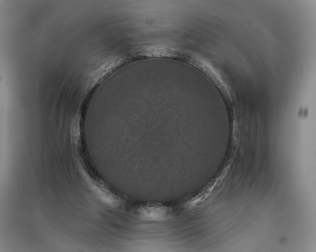 X0000091520202200708171223