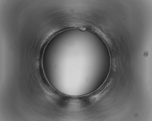 X0000091520203200708171223