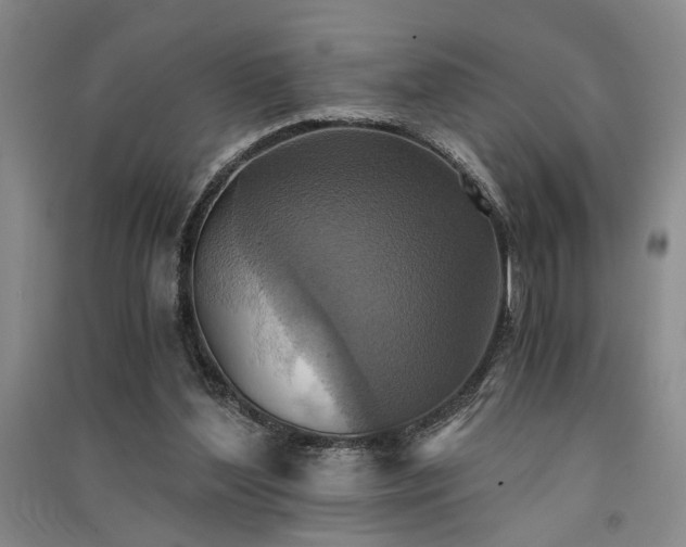 X0000091520204200708171223