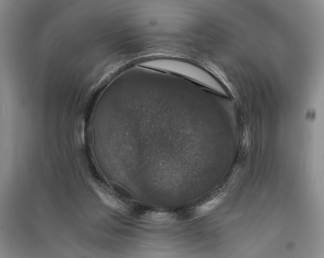X0000091520205200708171223