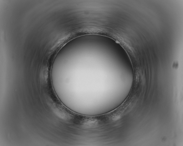 X0000091520206200708171223