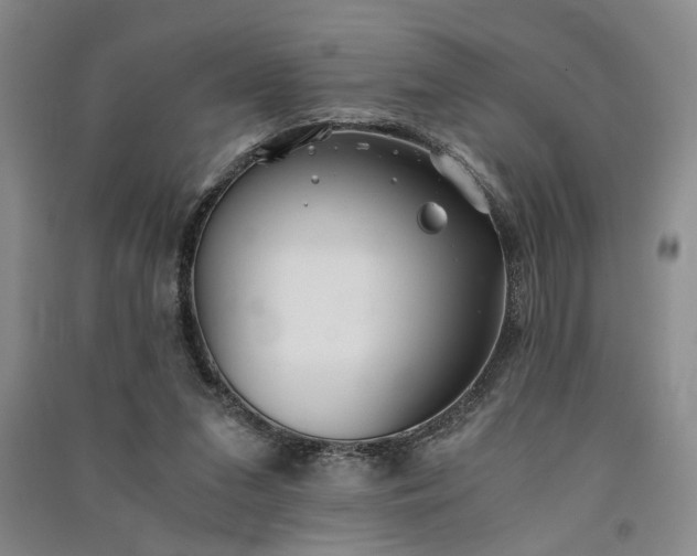 X0000091520207200708171223