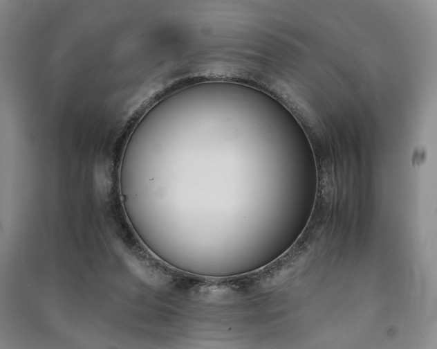 X0000091520208200708171223