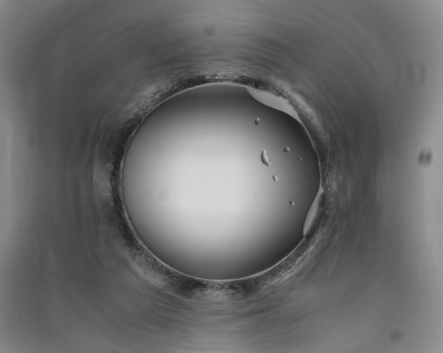 X0000091520209200708171223