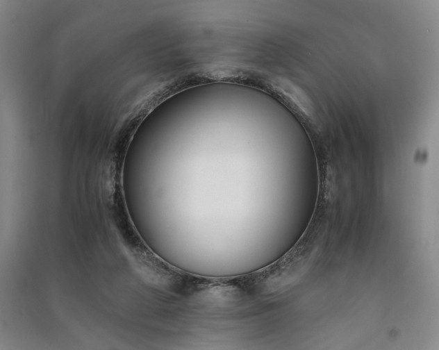 X0000091520210200708171223